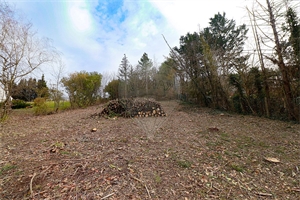 terrain à la vente -   89580  GY L EVEQUE, surface 3310 m2 vente terrain - UBI464858564